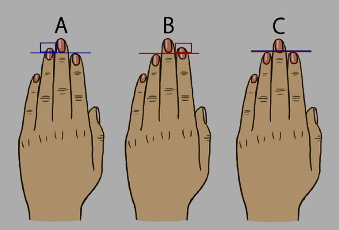 Մարդու բնավորությունը ըստ մատների երկարության