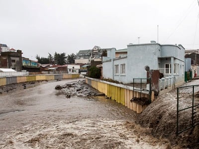 Չինաստանում ջրհեղեղից հետո շուրջ 900 թունավոր օձ է դուրս եկել ֆերմայից․ կան տուժածներ